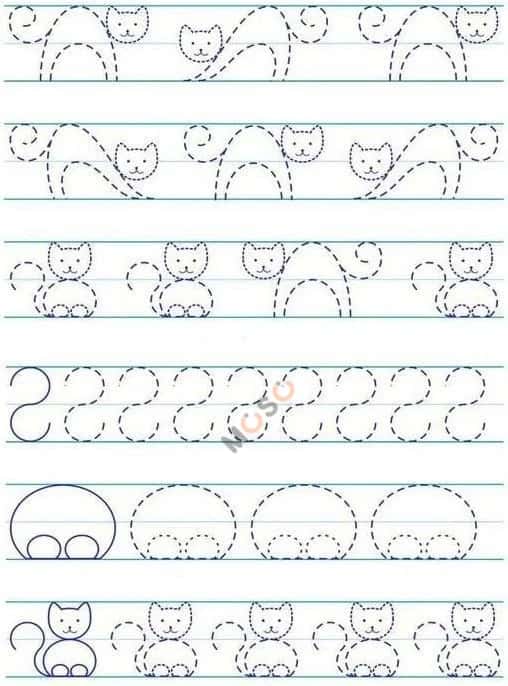 Bán nhà hẻm Trần Thánh Tông Quận 12, TP.HCM – 1 phòng ngủ, giá 12 tỷ - ảnh 1