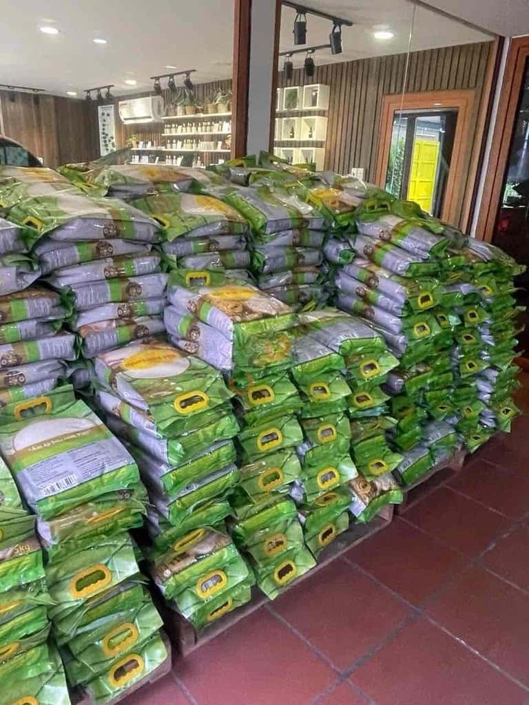 Bán nhà hẻm Đường Số 6 Thành phố Thủ Đức, TP.HCM – 3 phòng ngủ, giá 50 tỷ - ảnh 3