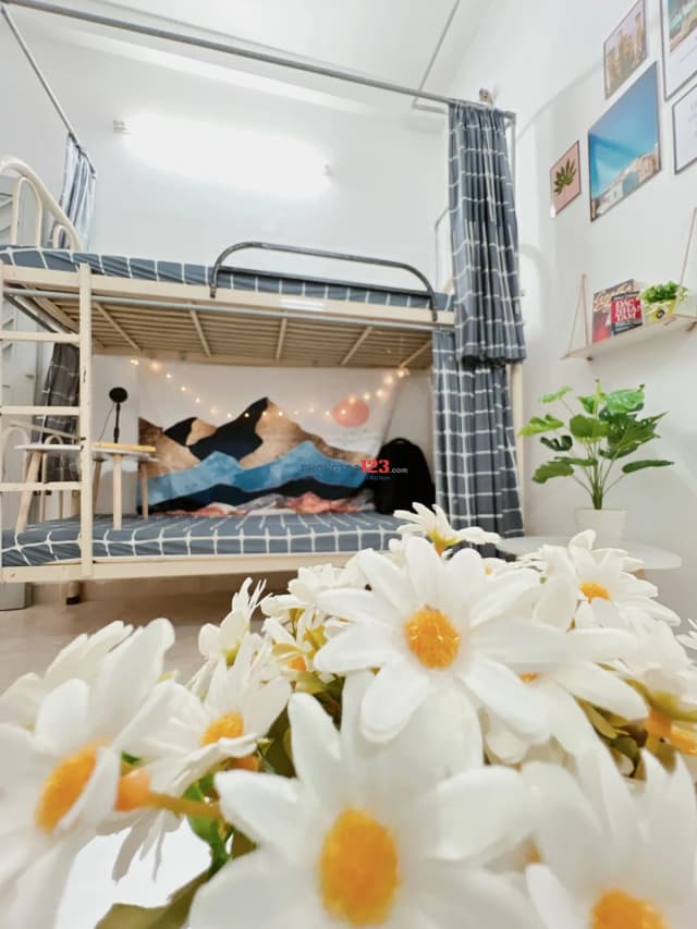 Cho thuê - Khác 60/18A, Huỳnh Khương An, Phường Bến Thành, Thành phố Hồ Chí Minh