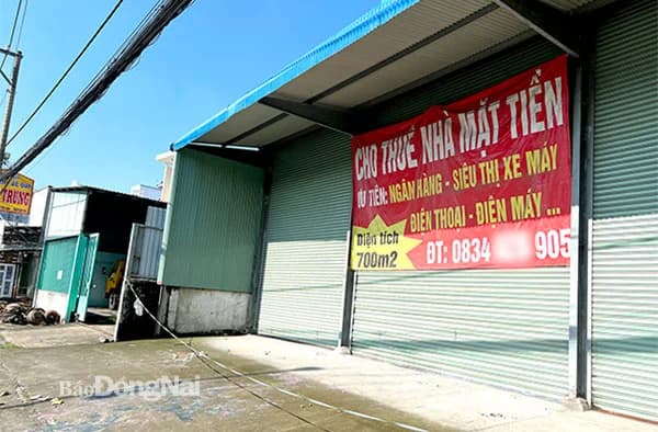 Cho thuê - Khác 71, Đường Thành Thái, Phường Diên Hồng, Thành phố Hồ Chí Minh