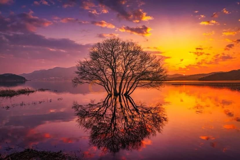 Main image Main image