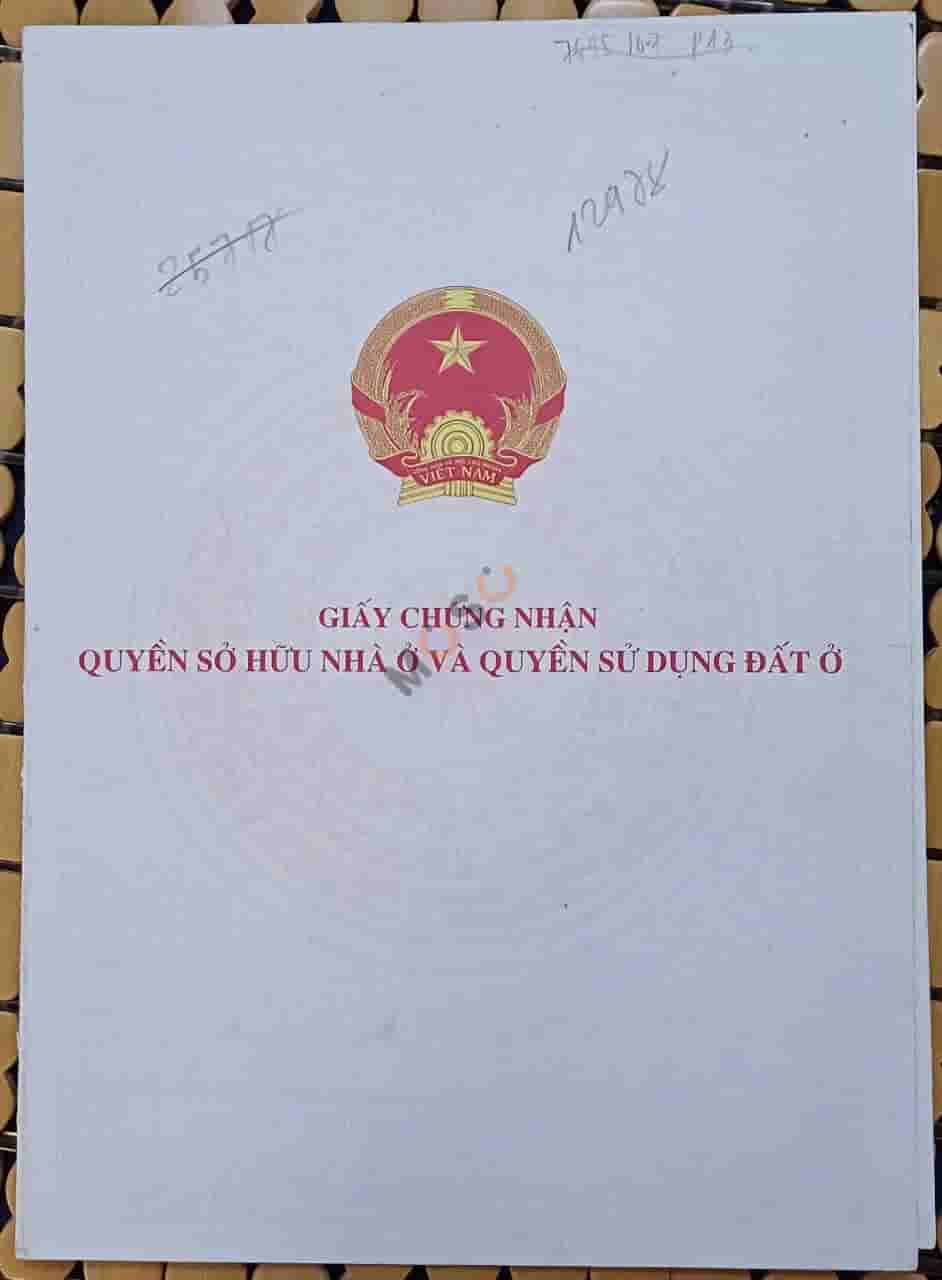 Image Image