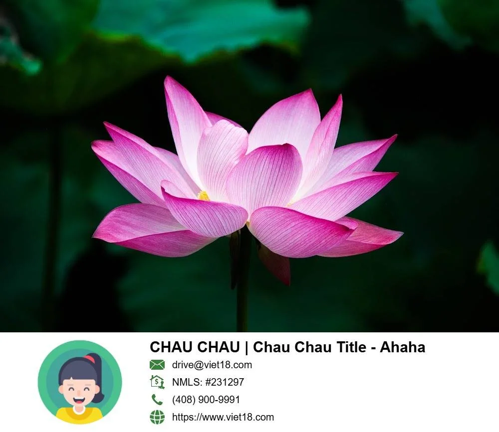 Môi Giới Toan Nguyen